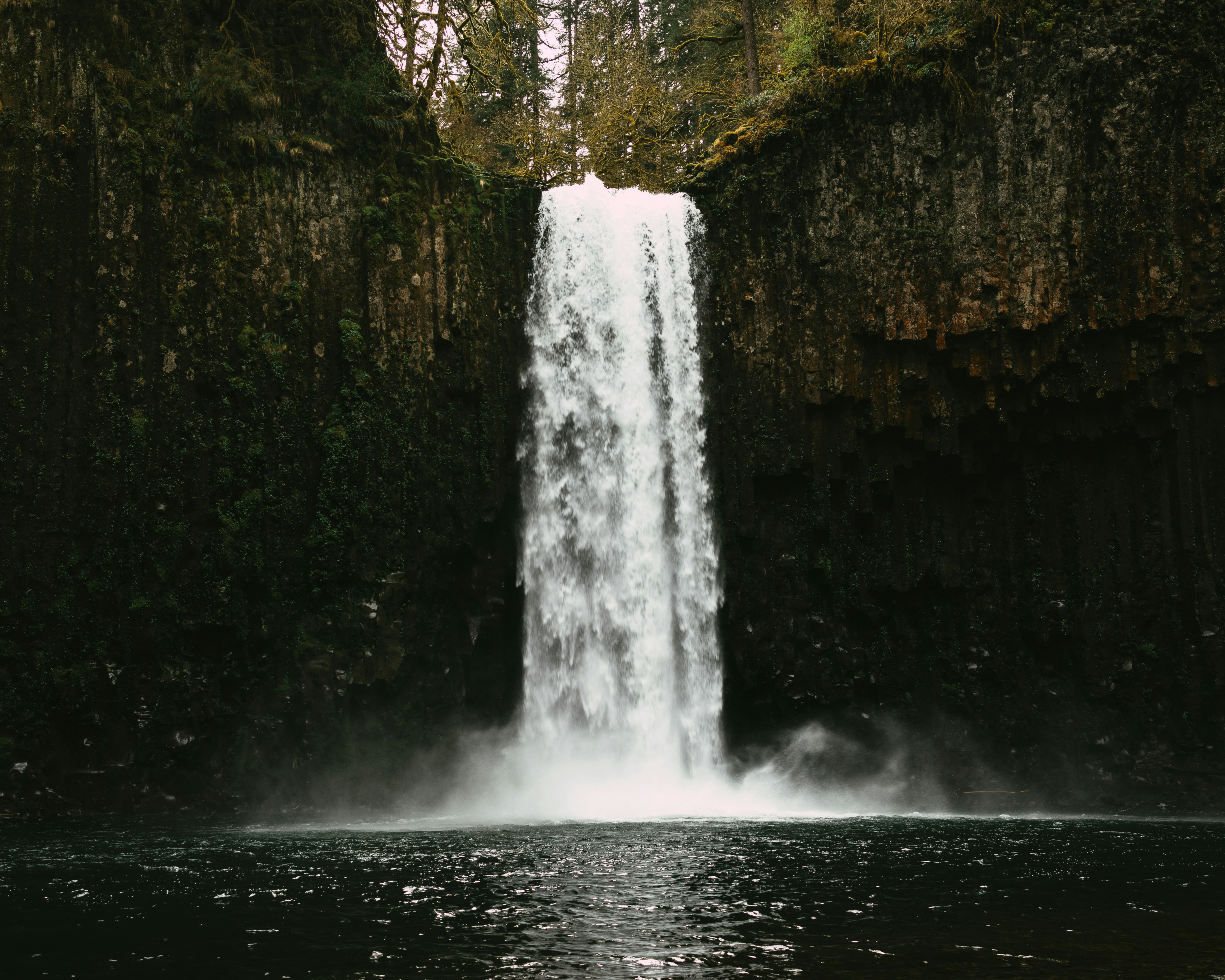 Nature