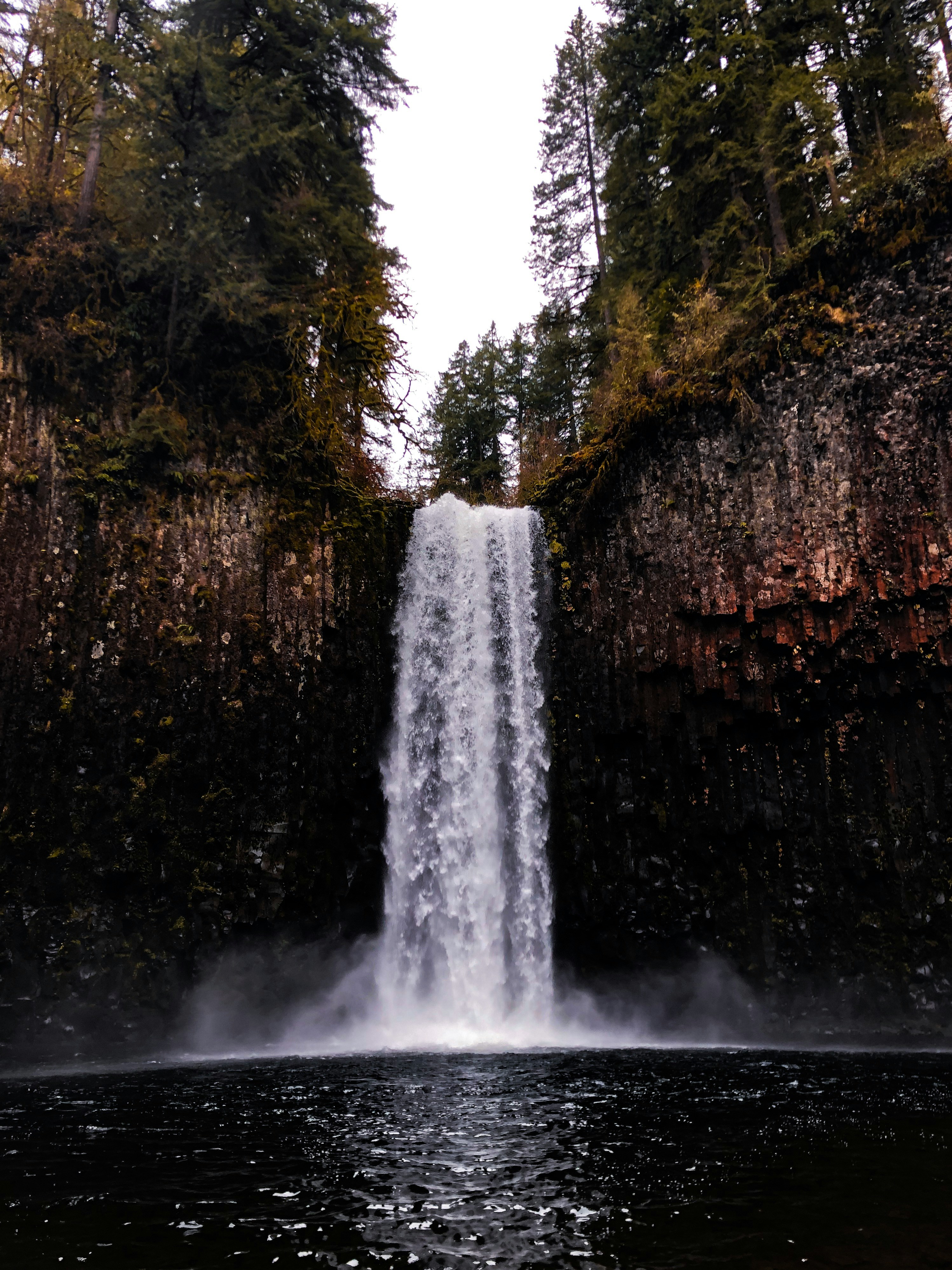 Nature